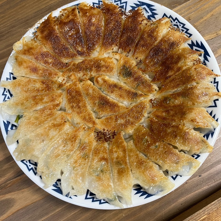 餃子の王将風！焼き餃子【究極シリーズ】